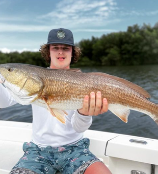 Catch, release, Redfish in Tampa Bay!